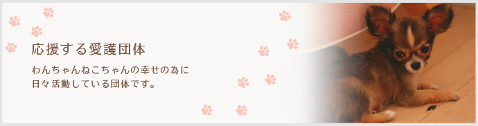 院長先生に相談してみよう 犬猫を買う前 RENSA