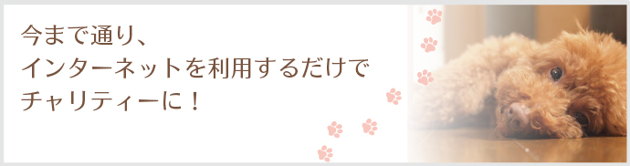 チャリティーひかり 光回線