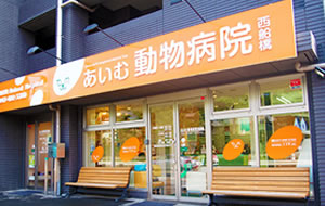 あいむ動物病院 井田 龍院長 2