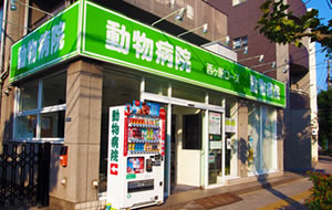 西ヶ原ローズ動物病院 豊福健院長 3