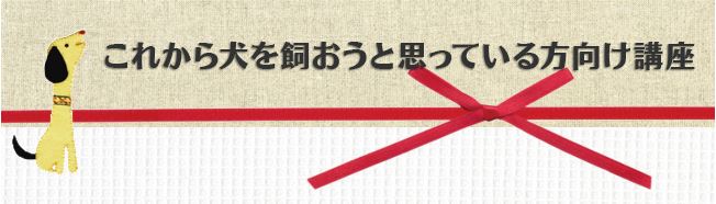 犬を飼う前の講座