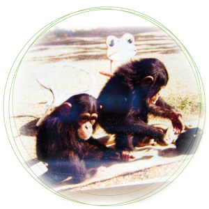  古谷動物病院　古谷隆俊院長