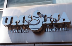 梅島動物病院　勝山　義夫院長　４