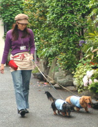 日本ペットシッターサービス