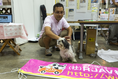 １００　保護犬