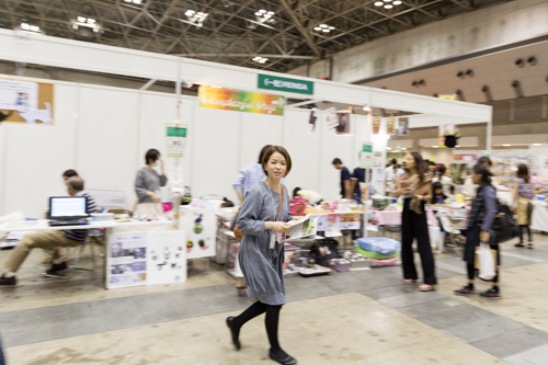 １２１　保護猫