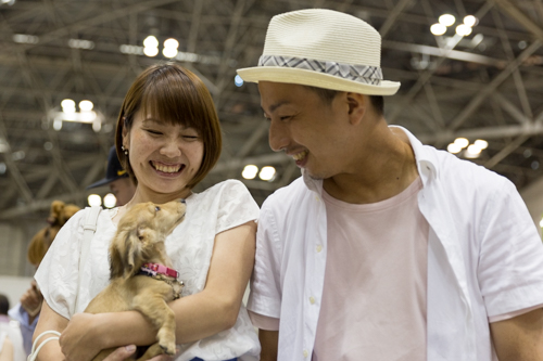 １０７　保護猫