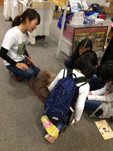 保護犬ふれあい５