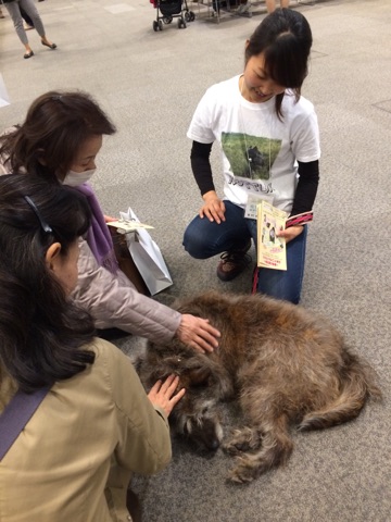 保護犬ふれあい３