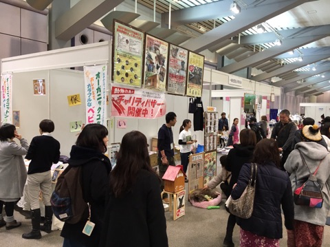 癒しフェア　全体