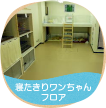 老犬本舗　寝た切りフロア
