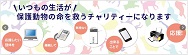 保護動物の為のチャリティーひかり