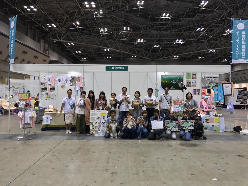 5日全体★960　保護犬