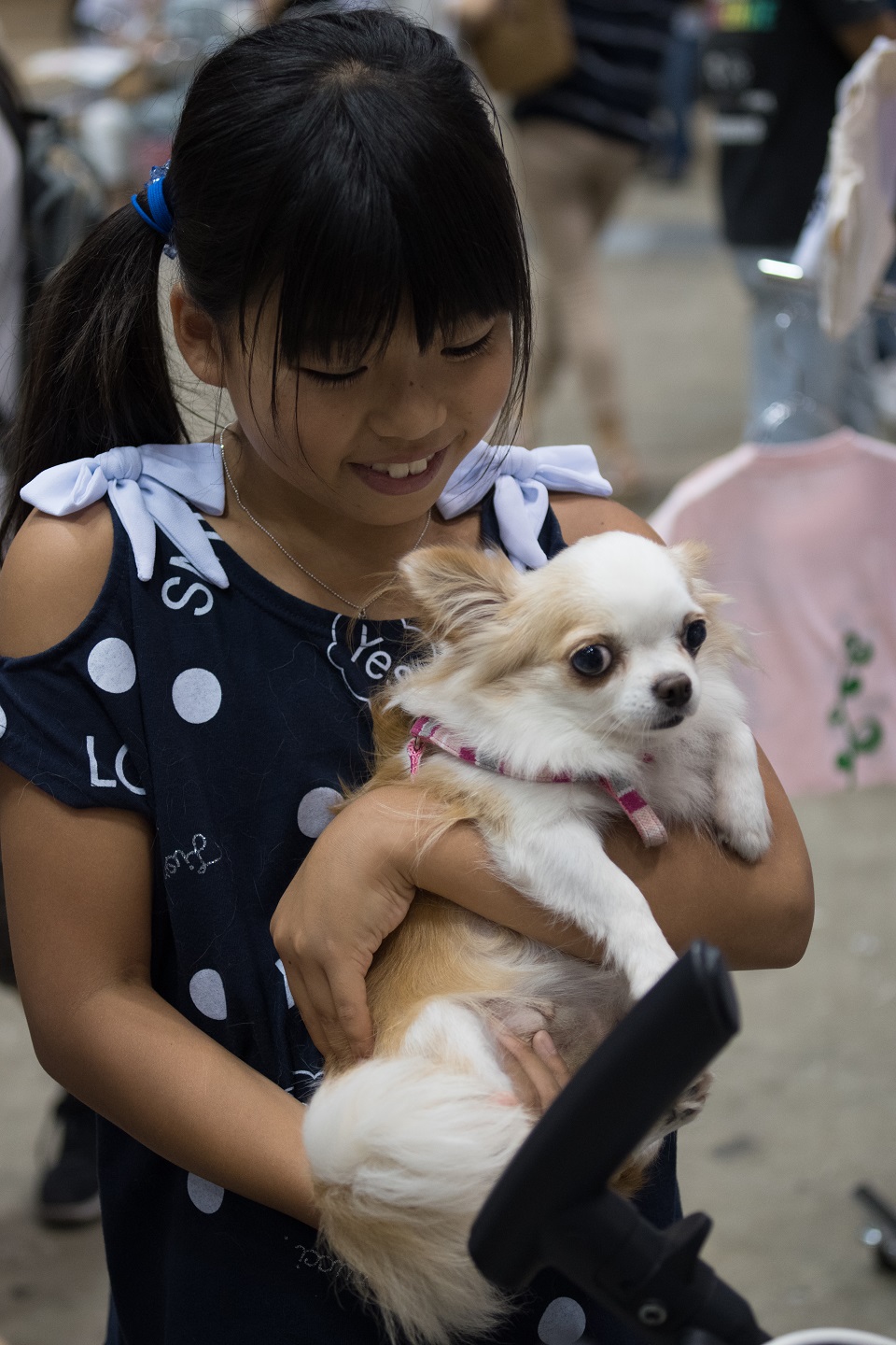 保護御🐕　子供と犬★960