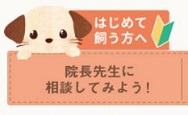 院長先生に相談してみよう