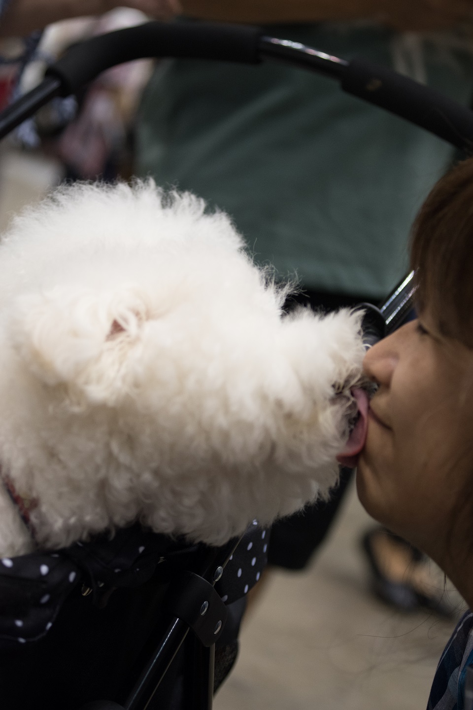 天尾さんと保護犬キス★960