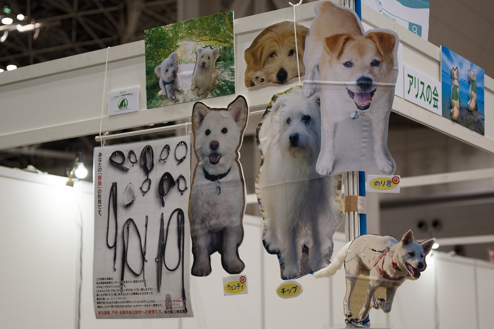 日本動物生命尊重の会　パネル★960　保護犬