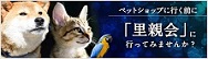 保護犬保護猫イベント情報