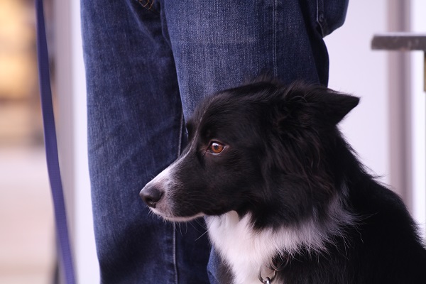 高部さん黒HP用１