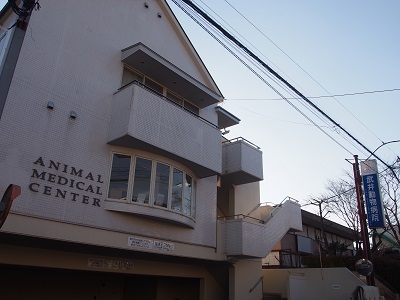 武井動物病院　田中院長2