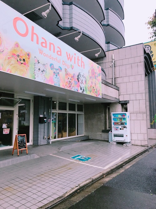 ワンダフルドックス2