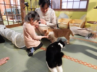 猫イベント