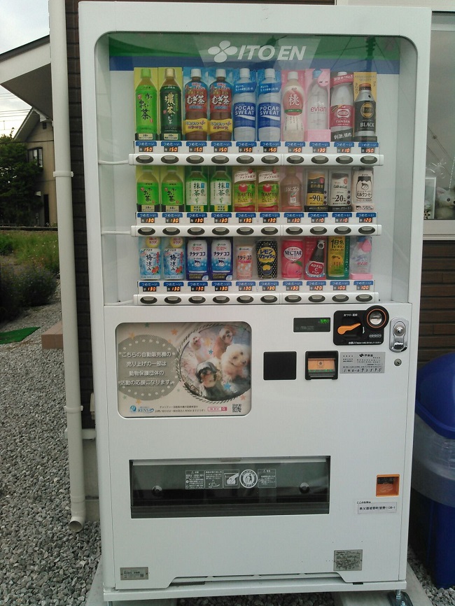 わんわんハウス　ラム　伊藤園