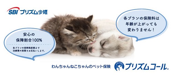 保護犬保護猫保険1