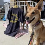 4月28日の新田店に参加するの命こそ宝の保護犬05