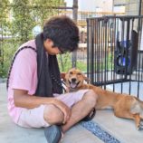 8月3日のジョイホン吉岡店に参加する命こそ宝の保護犬01