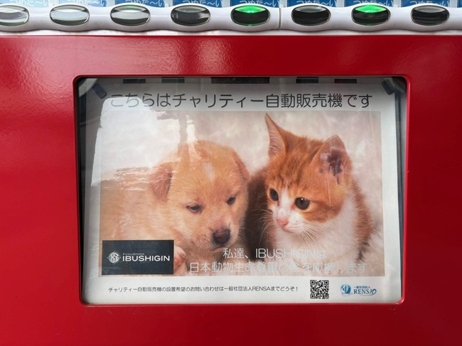 イブシギンインパネ