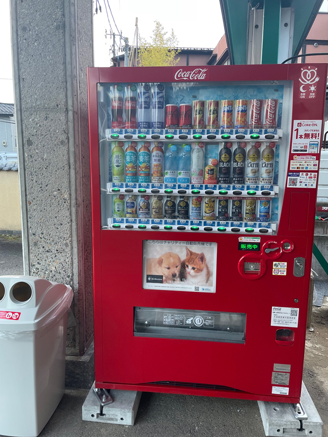 イブシギン全体